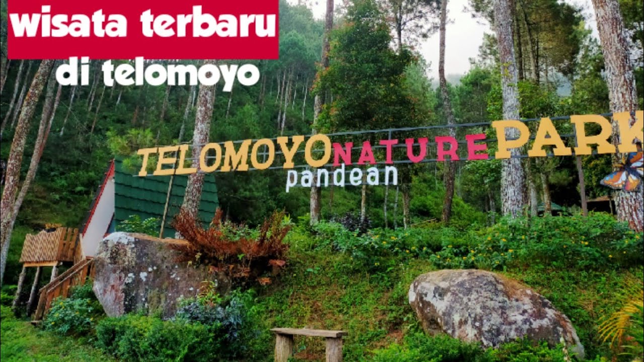 Jelajahi Telomoyo Nature Park: Keindahan Alam yang Memukau